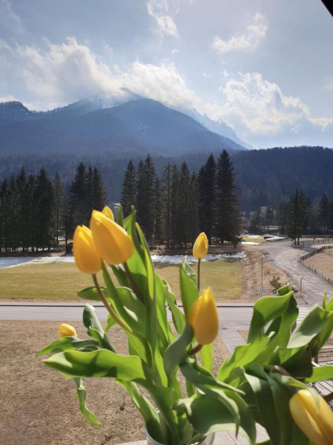 Apartma Kurji Vrh - Chicken Top Kranjska Gora Exterior foto
