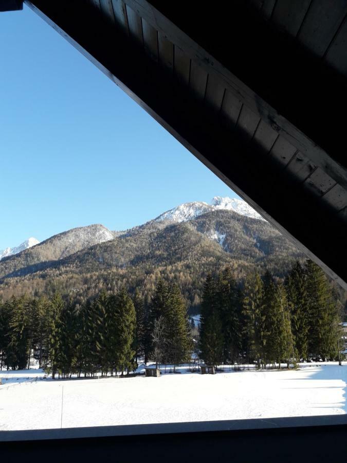 Apartma Kurji Vrh - Chicken Top Kranjska Gora Exterior foto
