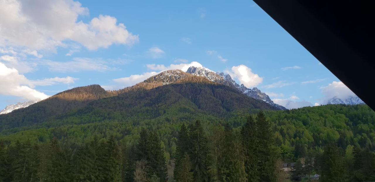 Apartma Kurji Vrh - Chicken Top Kranjska Gora Exterior foto
